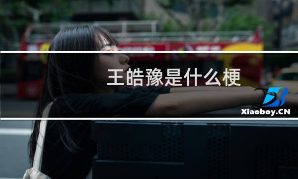 王皓豫是什么梗