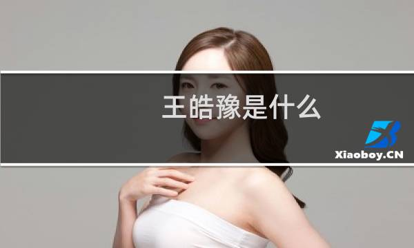 王皓豫是什么
