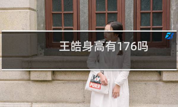 王皓身高有176吗