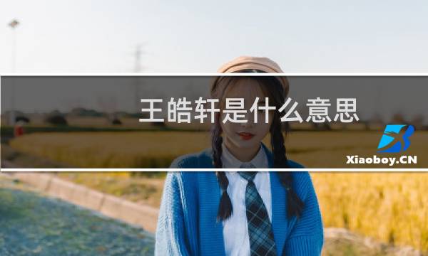 王皓轩是什么意思