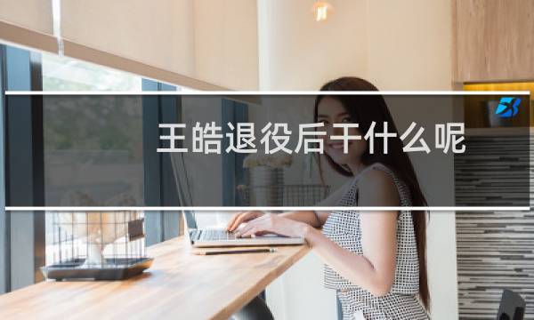 王皓退役后干什么呢