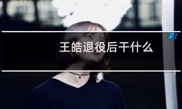 王皓退役后干什么