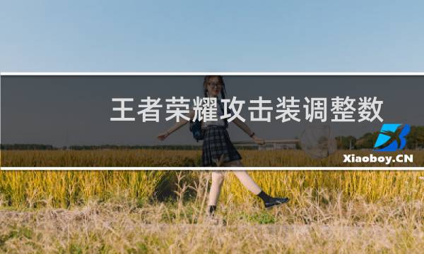 王者荣耀攻击装调整数据分析图片
