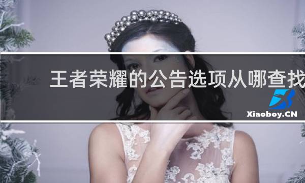 王者荣耀的公告选项从哪查找