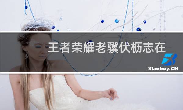 王者荣耀老骥伏枥志在千里是谁图片
