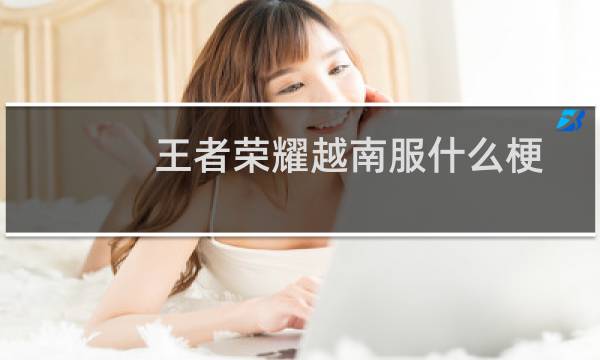 王者荣耀越南服什么梗