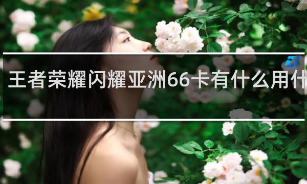 王者荣耀闪耀亚洲66卡有什么用什么梗