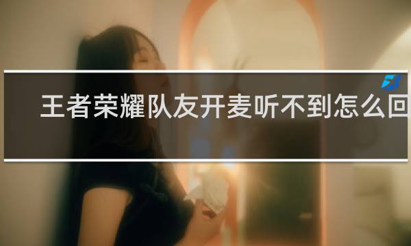 王者荣耀队友开麦听不到怎么回事