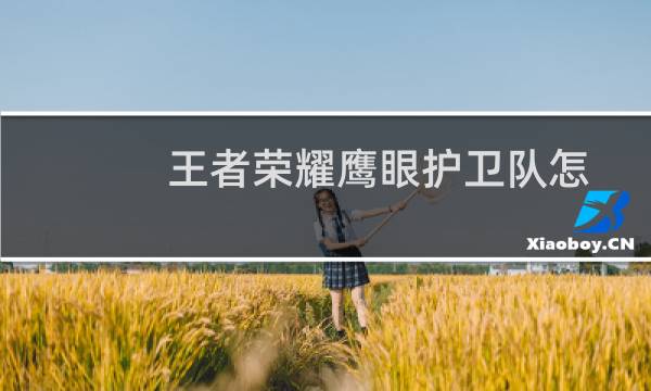 王者荣耀鹰眼护卫队怎么加入 鹰眼护卫队申请方法图片