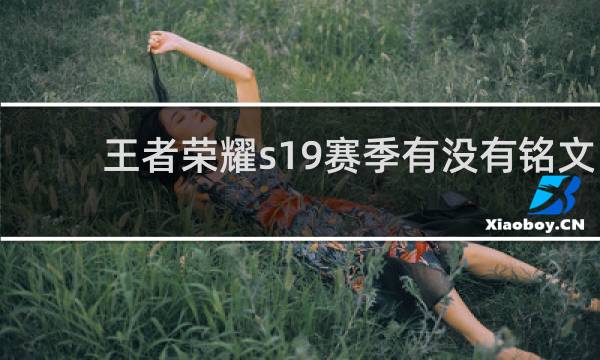 王者荣耀s19赛季有没有铭文