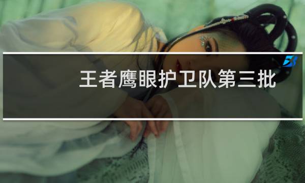 王者鹰眼护卫队第三批（王者荣耀鹰眼护卫队第二批申请时间介绍）图片