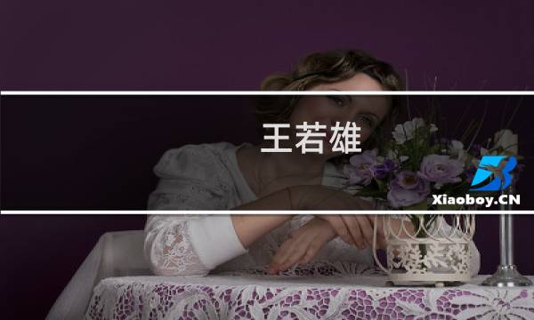 王若雄(天泰和系统创始人?)