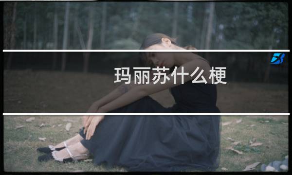 玛丽苏什么梗