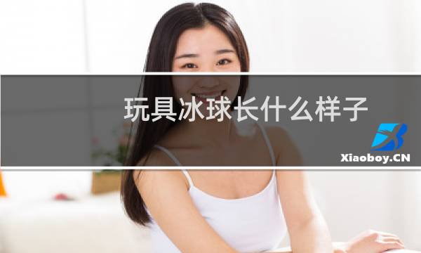 玩具冰球长什么样子