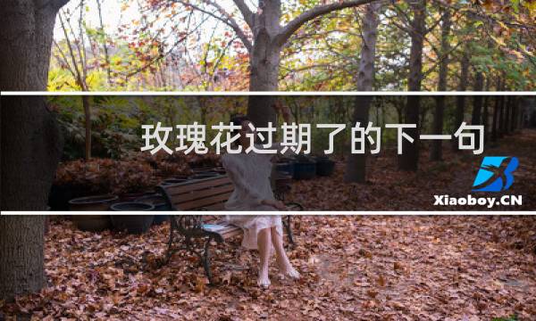 玫瑰花过期了的下一句是什么（玫瑰花到期了下一句是什么意思）图片