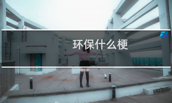 环保什么梗