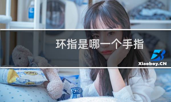 环指是哪一个手指（环指是哪个手指呀（手指指环分别代表什么））图片
