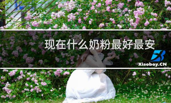 现在什么奶粉最好最安全（现在什么奶粉最好）图片