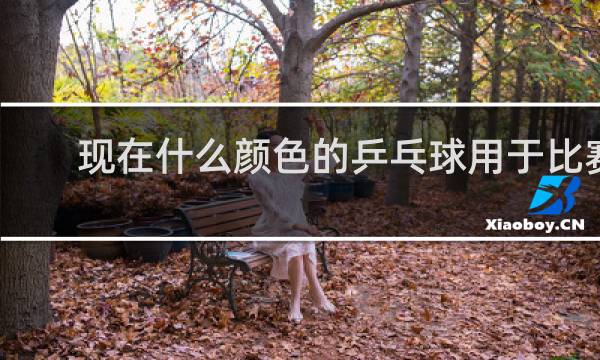 现在什么颜色的乒乓球用于比赛