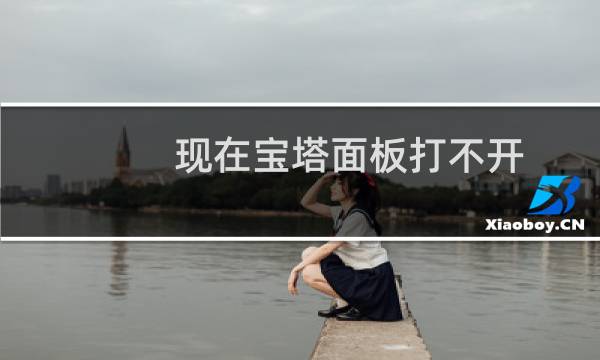 现在宝塔面板打不开，服务器上的网站打不开，请问怎么处理？