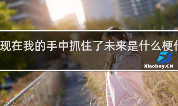 现在我的手中抓住了未来是什么梗什么梗