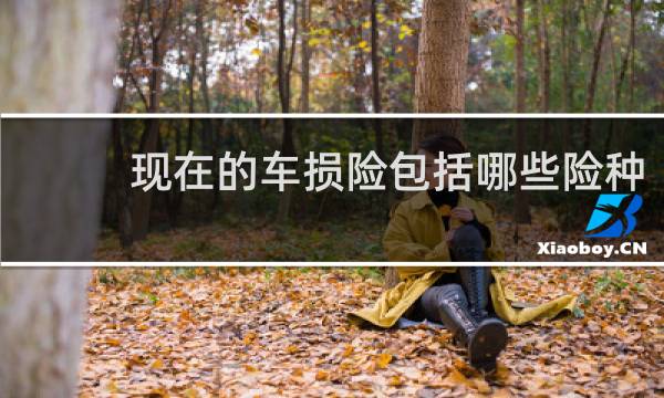 现在的车损险包括哪些险种