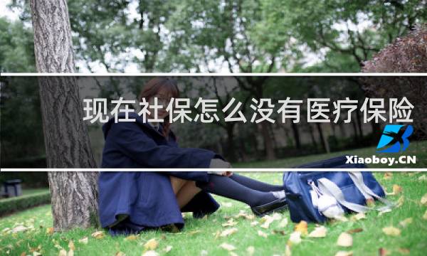 现在社保怎么没有医疗保险