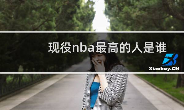 现役nba最高的人是谁