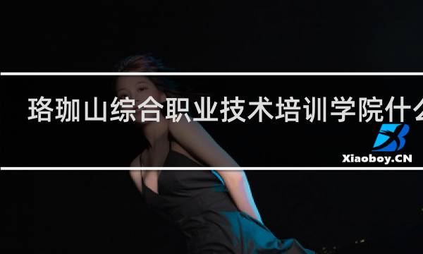珞珈山综合职业技术培训学院什么梗