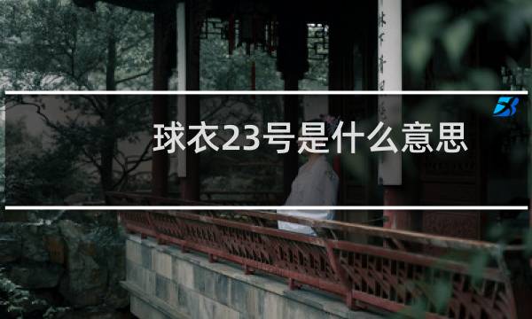 球衣23号是什么意思