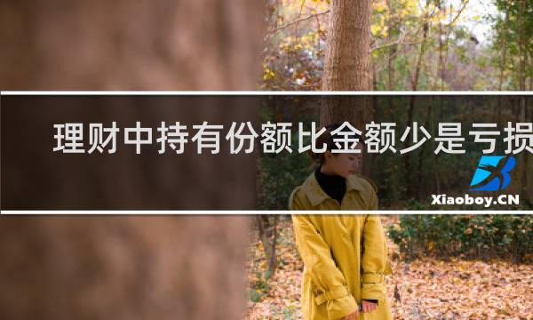 理财中持有份额比金额少是亏损吗