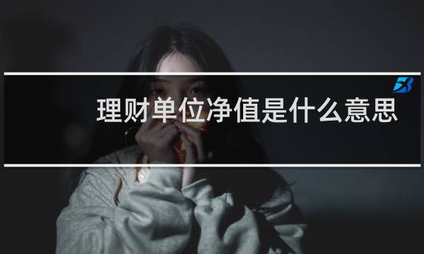 理财单位净值是什么意思