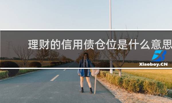 理财的信用债仓位是什么意思