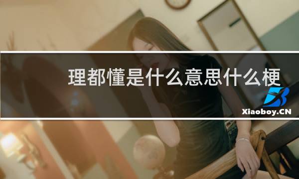 理都懂是什么意思什么梗