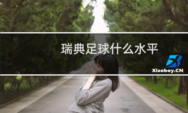 瑞典足球什么水平