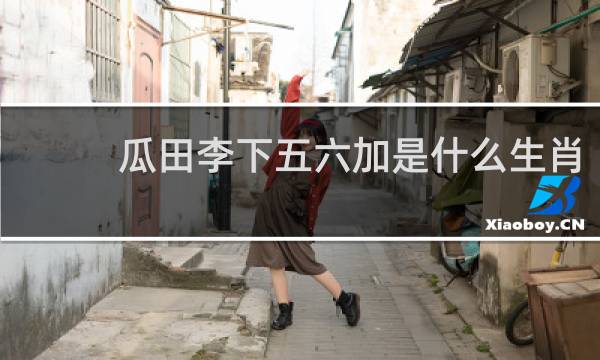 瓜田李下五六加是什么生肖