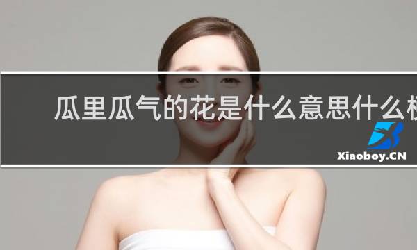 瓜里瓜气的花是什么意思什么梗