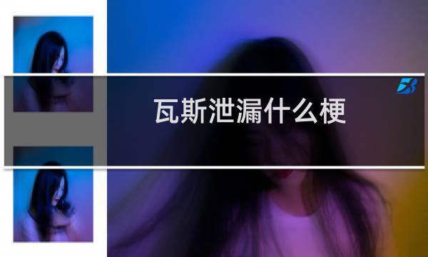 瓦斯泄漏什么梗