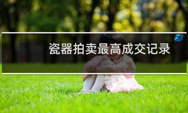 瓷器拍卖最高成交记录