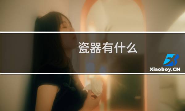 瓷器有什么