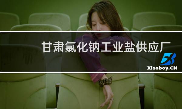 甘肃氯化钠工业盐供应厂家图片