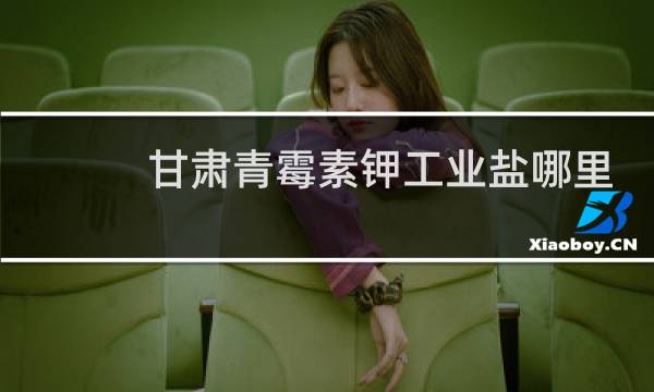 甘肃青霉素钾工业盐哪里找图片