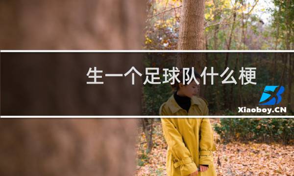 生一个足球队什么梗