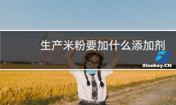 生产米粉要加什么添加剂