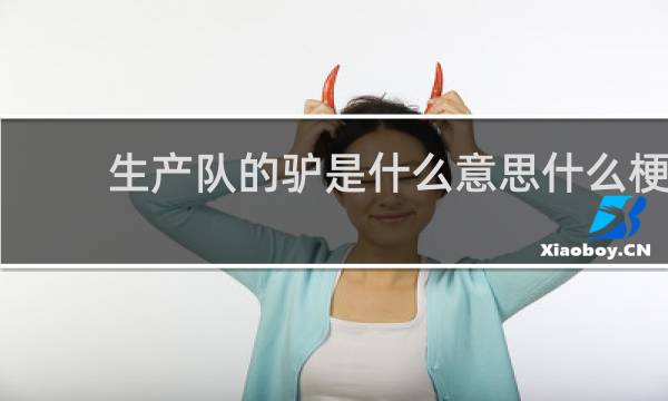 生产队的驴是什么意思什么梗