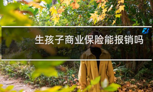生孩子商业保险能报销吗