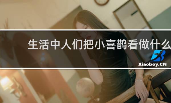 生活中人们把小喜鹊看做什么