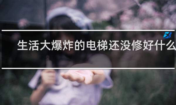 生活大爆炸的电梯还没修好什么梗？什么梗