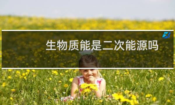 生物质能是二次能源吗图片