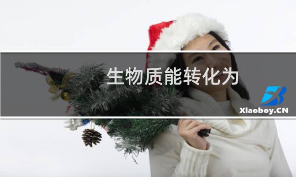生物质能转化为( )是质能转换体系中较为成熟的过程